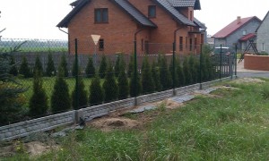 ogrodzenie w miejscowości Kraszewice